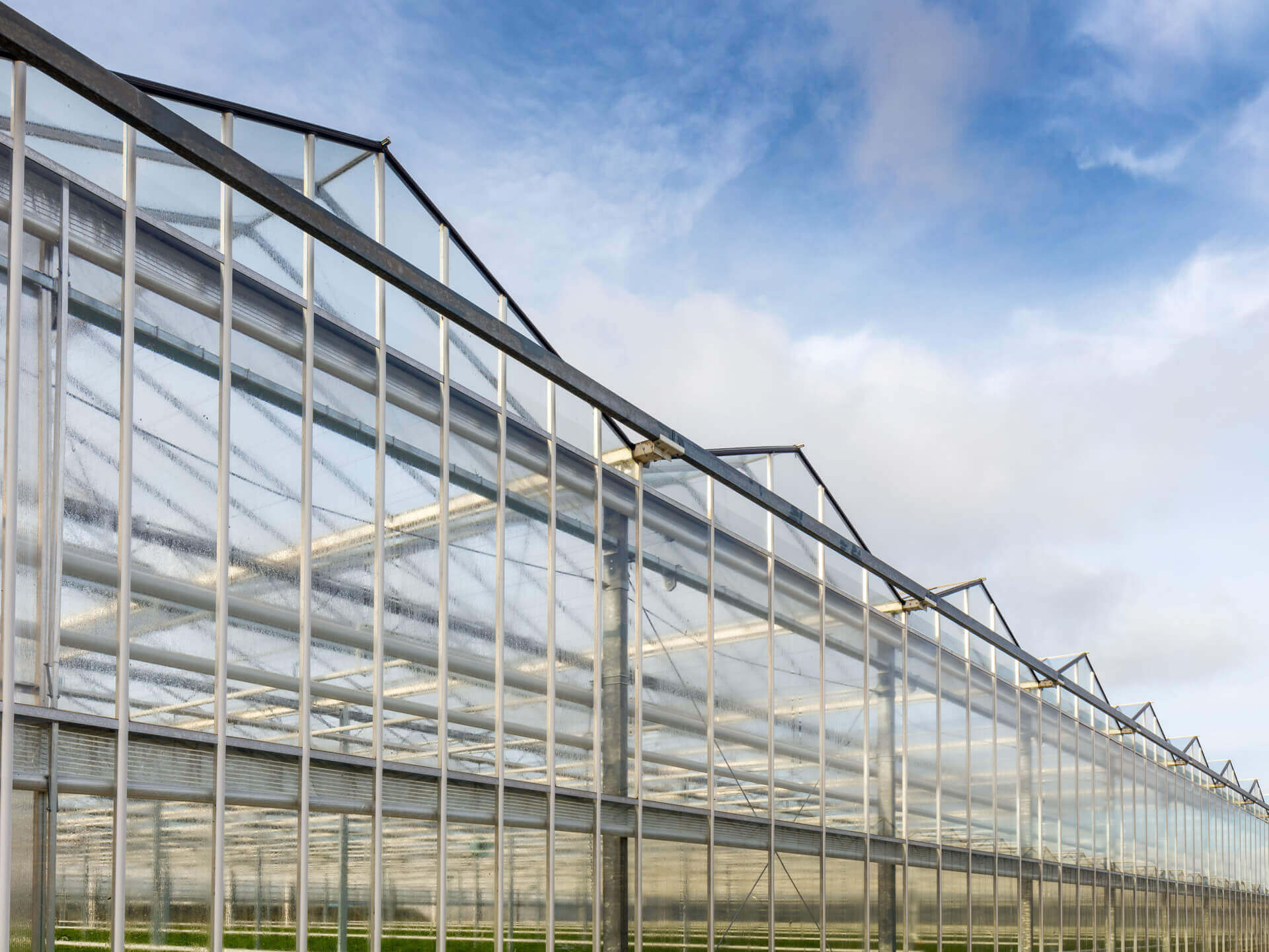 20180130 C 50 Hogervorst Tabben HTgreenhouses kassenbouw sloop kasmaterialen