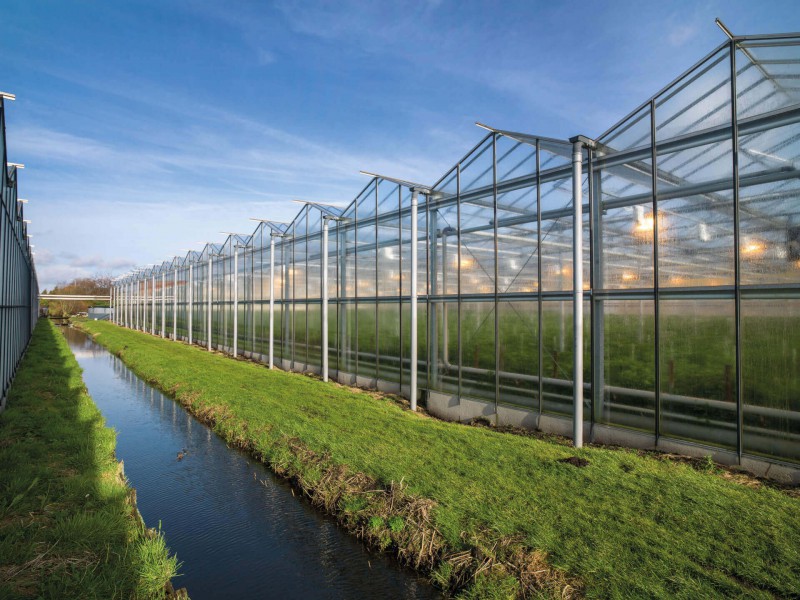 20180130 G 70 Hogervorst Tabben HTgreenhouses kassenbouw sloop kasmaterialen